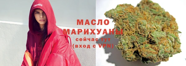 хмурый Аркадак
