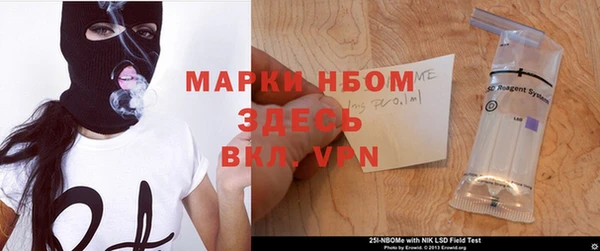 хмурый Аркадак