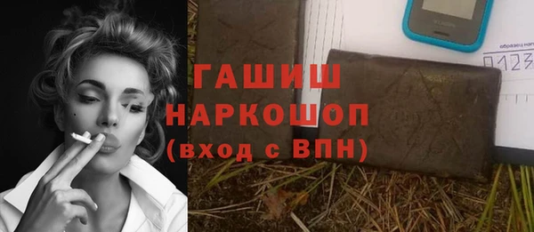 хмурый Аркадак