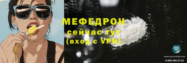 хмурый Аркадак