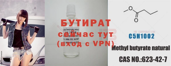 хмурый Аркадак