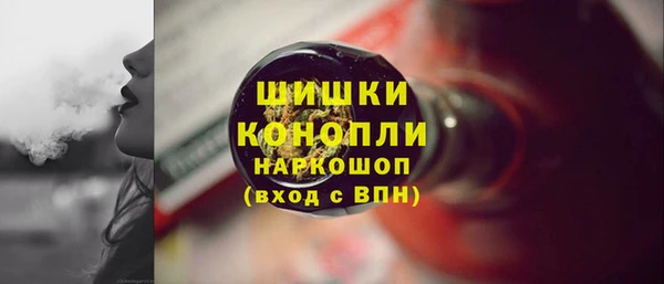 хмурый Аркадак