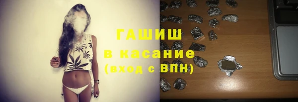 хмурый Аркадак