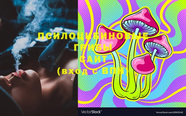 хмурый Аркадак
