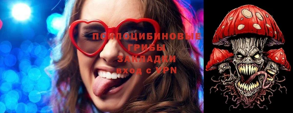 трава Армянск